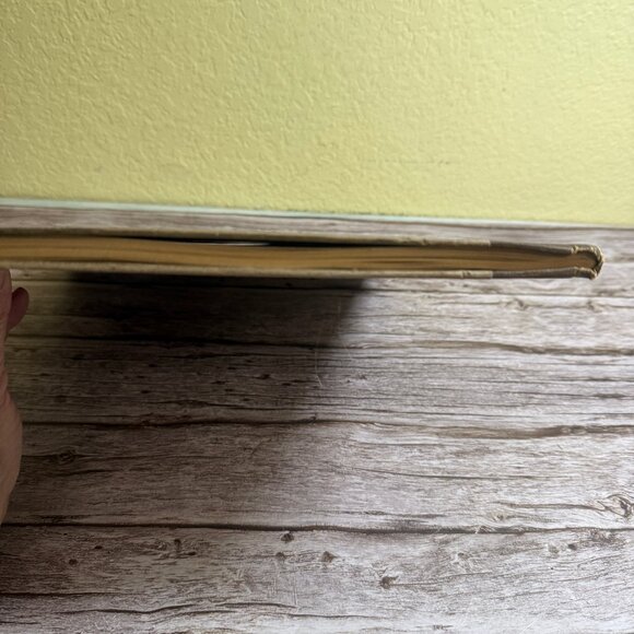 Antique “Liberty’s Victorious Conflict” Photographic History of World War 1918 - Picture 3 of 12